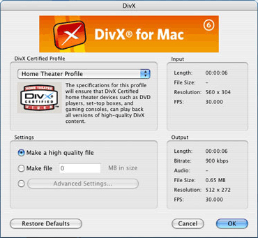 quicktime 3rd party codec divx